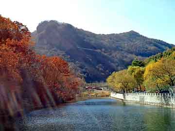 管家婆黑白马报图库，金华seo建站